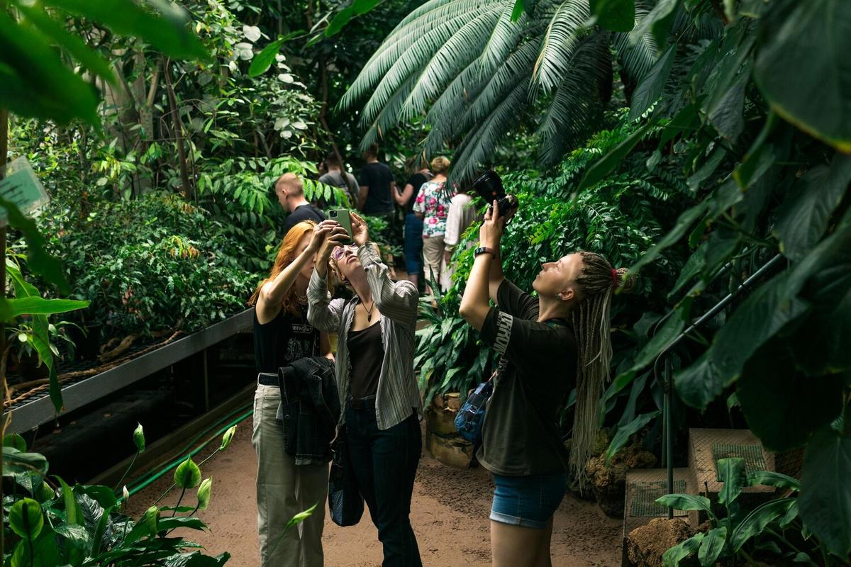 The Role of Zoos in Protecting Endangered Species