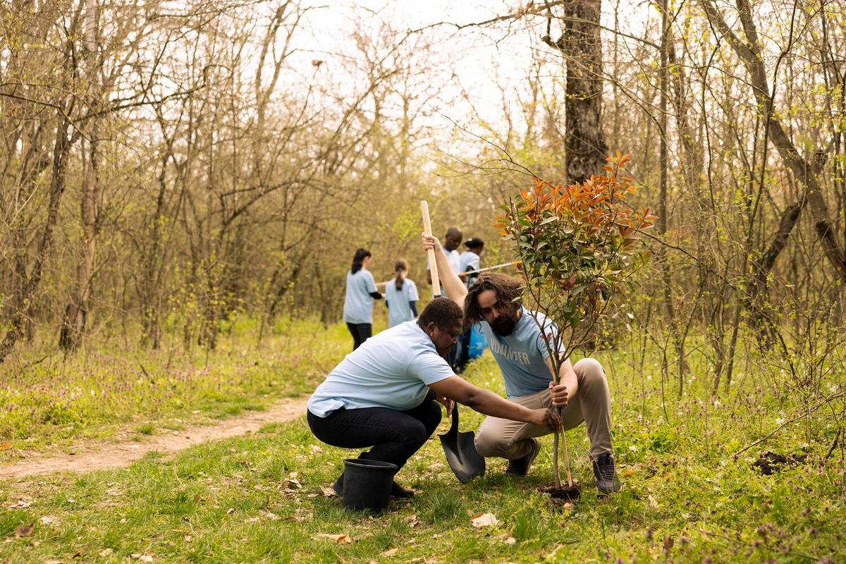 Ways to Volunteer for Wildlife Conservation Organizations
