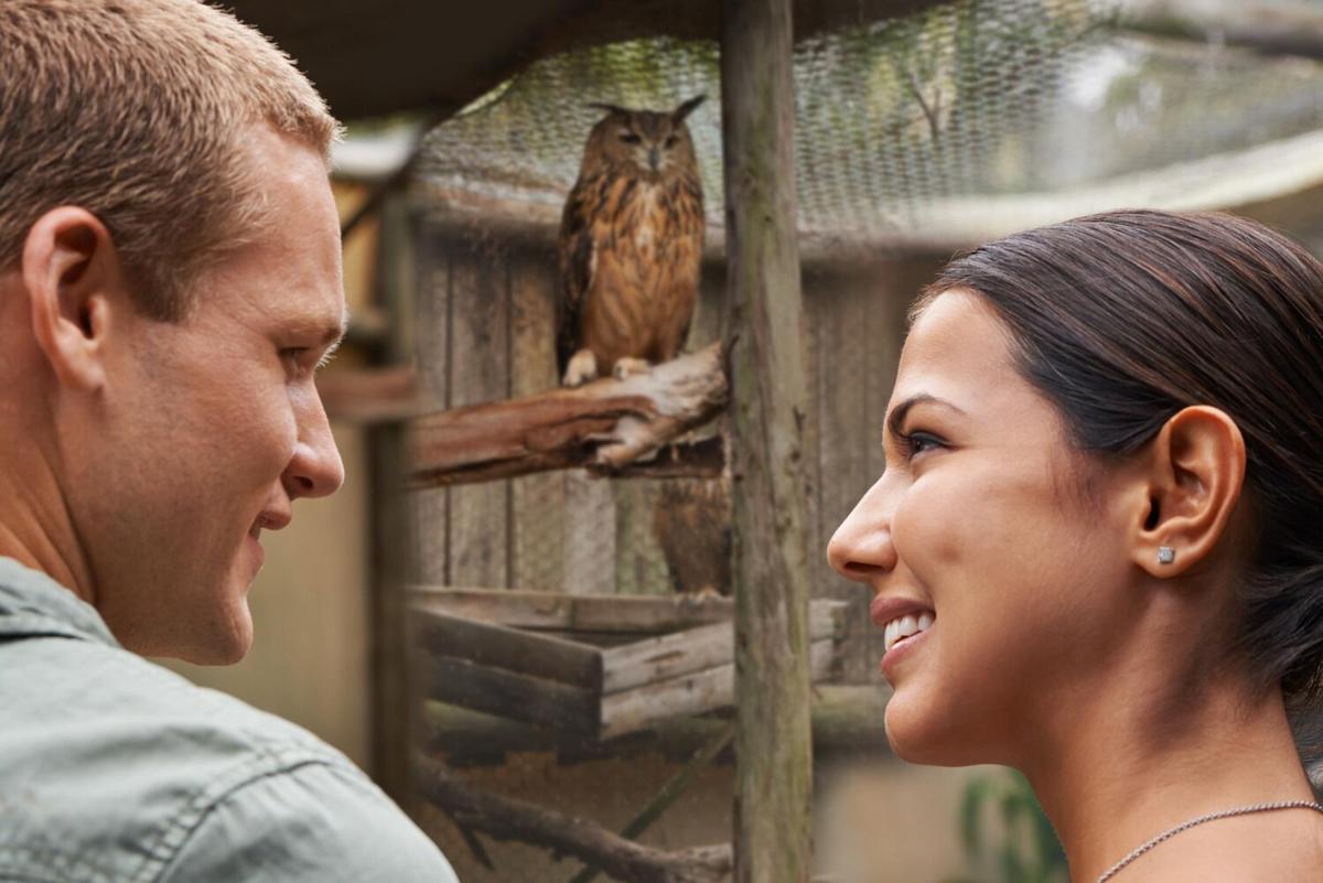 Successfully Rehabilitating Injured Wildlife: A Case Study