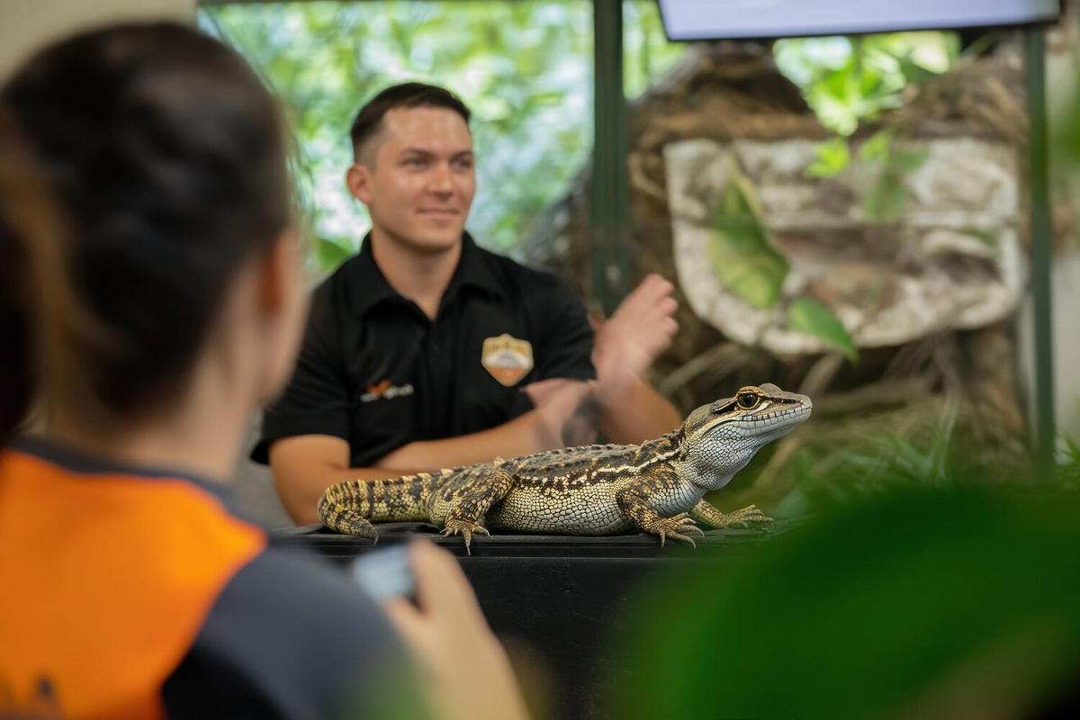 Understanding the Unique Needs of Reptile Pets