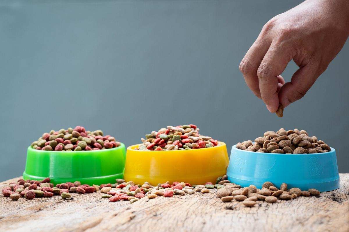 Understanding Pet Nutrition: Choosing the Right Food for Your Pet
