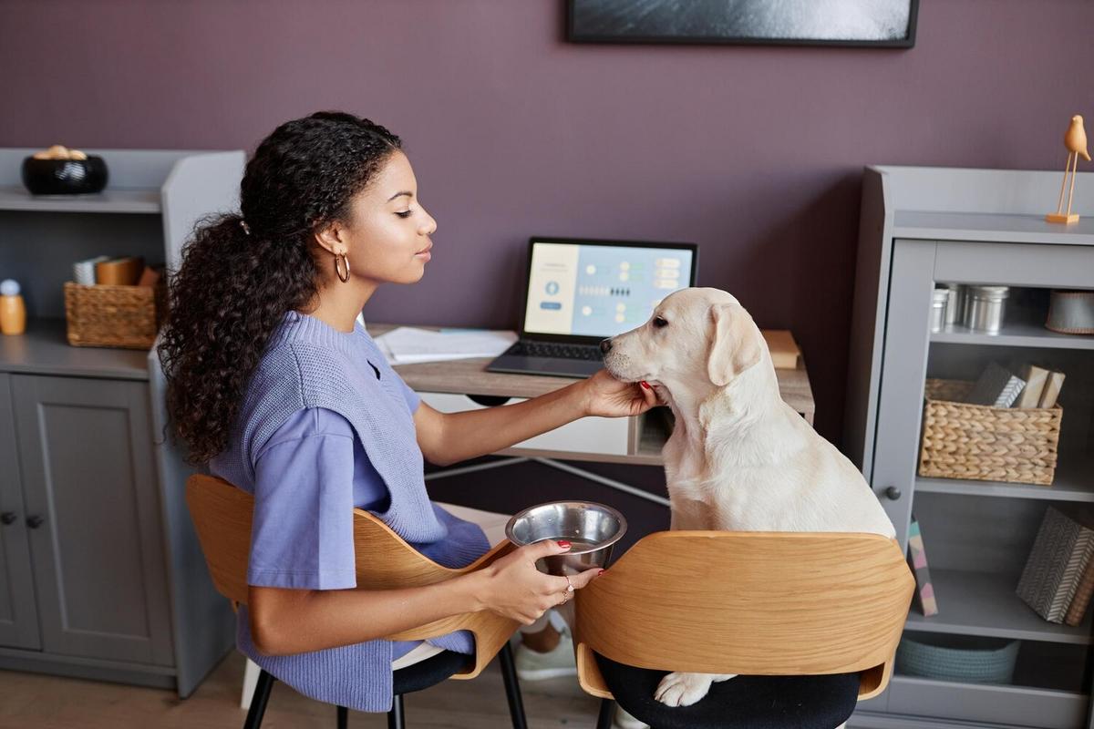 Top Signs Your Pet Needs a Vet Visit