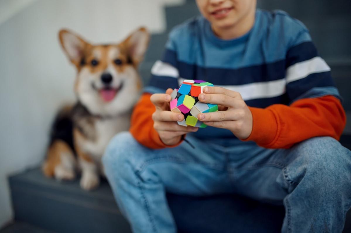 How to Keep Your Pet Mentally Stimulated