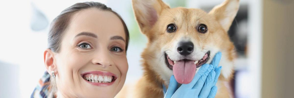How to Brush Your Pet’s Teeth: A Step-by-Step Guide