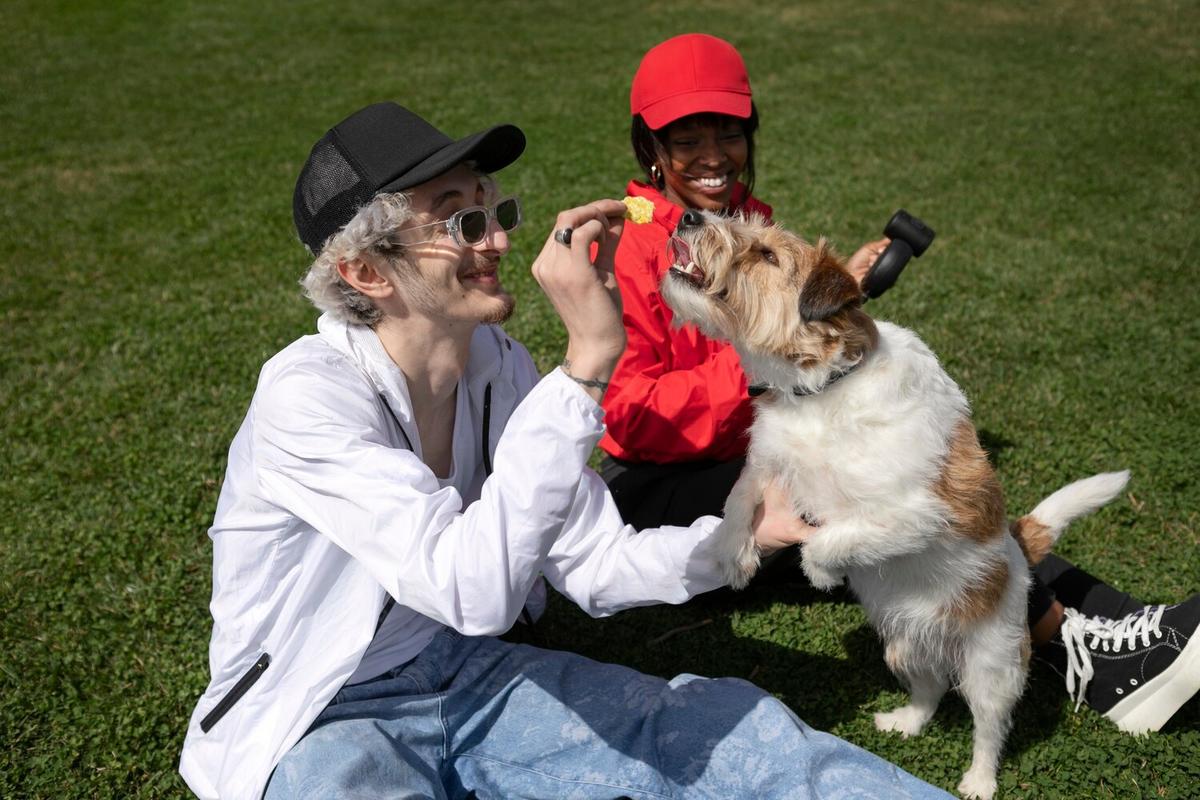 Understanding the Lifespan of Different Dog Breeds