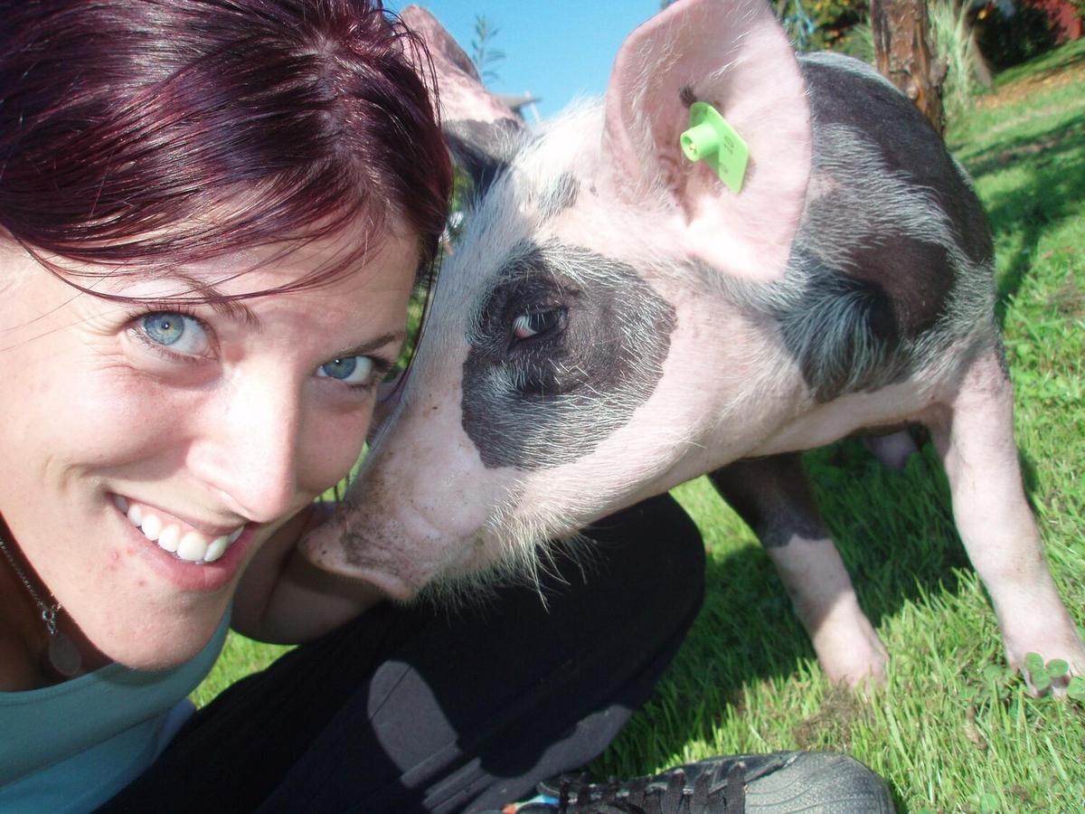 The Pros and Cons of Owning a Miniature Pig