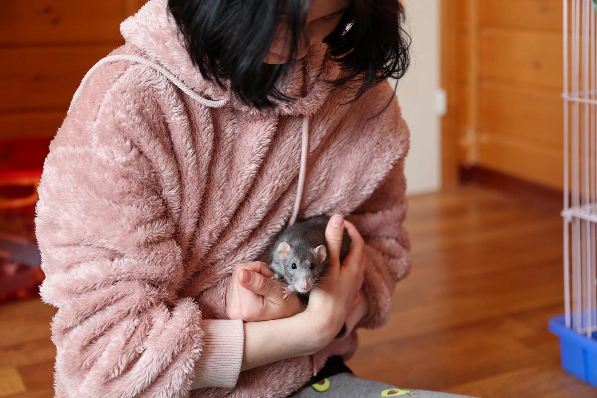 Essential Supplies for New Chinchilla Owners