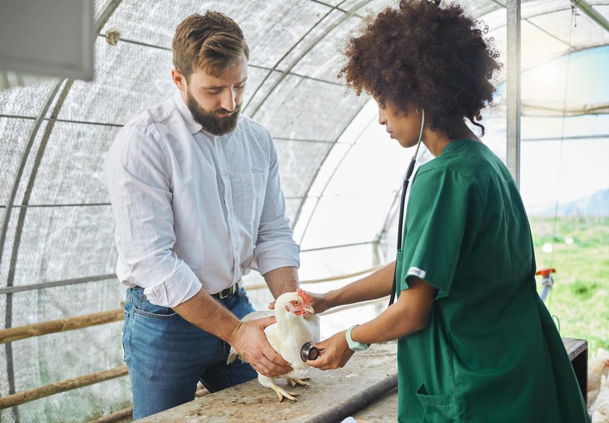 Common Health Issues in Exotic Pets and How to Prevent Them